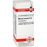 DHU-ARZNEIMITTEL MARUM VERUM D 6