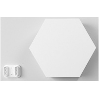 COLOLIGHT Extension LED Panel (Erweiterung) 1x (CL161)