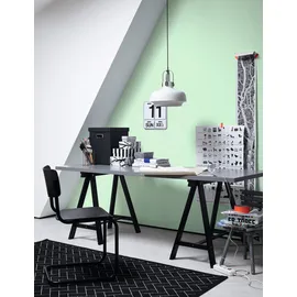 Schöner Wohnen Trendfarbe 1 l macaron matt