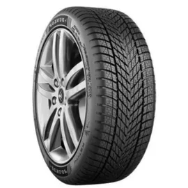 Dunlop Winter 245/35 R21 96W XL