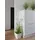Europalms Sterngras, 120cm