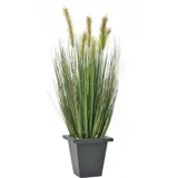 Europalms Moorgras im Dekotopf, 60cm