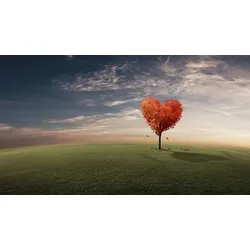 Fototapete PAPERMOON "KONZEPT SURREAL-FANTASIE KONZEPT BAUM HERZ WIESE SONNE", bunt, B:3,50m L:2,60m, Vlies, Tapeten