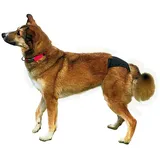 Trixie Schutzhöschen XL 60–70 cm, schwarz