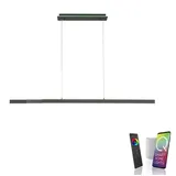 Neuhaus Leuchten LED-Pendelleuchte 2569-13