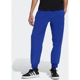 adidas Sportswear Sporthose M Z.N.E. PT blau XL
