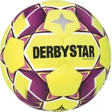 derbystar Fussball Indoor Beta v24, Weiß, 5