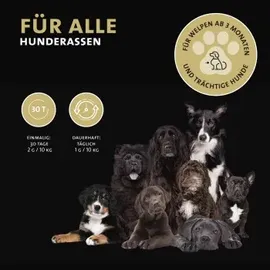 Peticare Ergänzungsfutter Pulver für sportliche Hunde 125 g