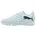TT icy blue/blue jewel 33