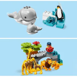 LEGO Duplo Tiere der Welt 10907