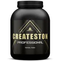 Peak Performance Createston Professional Cola Pulver 3150 g
