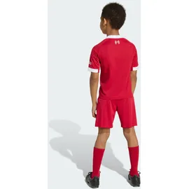 adidas FC Liverpool Minikit Heim 2025/26 rot Kinder Gr. 104