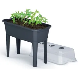 Prosperplast Hochbeet mit Prosperplast Cover Respa Selast