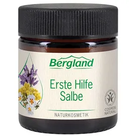 Bergland Pharma Erste Hilfe Salbe 15 ml