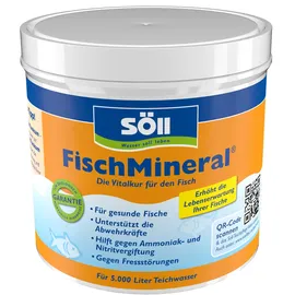 Söll FischMineral