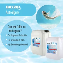 BAYZID® 1x 10 L Algizid Algenverhütung für Pools in Kanister