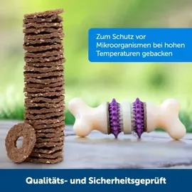 PetSafe Kauringe M braun