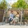Outsunny Gartenschaukel Grau 2-Sitzer