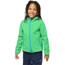 Jack Wolfskin Fourwinds Jacke Lizard 104