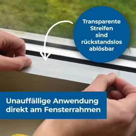 Protect Home FormineX Fliegenköder Fensterstreifen 12 St.