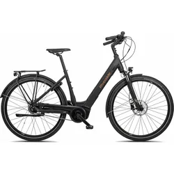 E-Bike City 28 Zoll EC900 City Nexus Bosch Active Line+ EINHEITSFARBE L