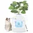 Songmics Katzentoilette Blumentopf 49 x 49 x 59 cm Weiß