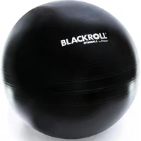 Blackroll Gymball 65 cm schwarz