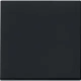 Gira Wippe sw 0296005