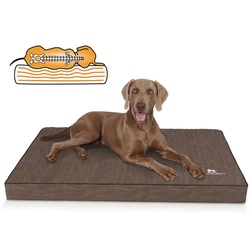 Knuffelwuff Hundematte Palomino, Orthopädisch braun 70 cm x 100 cm