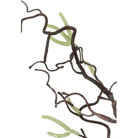 I.GE.A. Kunstblume I.GE.A. "Korkenzieherzweig Künstlicher Dekozweig", braun, B:10cm H:115cm L:6cm, Kunststoff, Kunstpflanzen, Kunstzweig, 2er Set