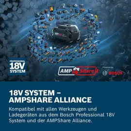 Bosch GBA 18 V Li-Ion 5,0 Ah Professional 1600A002U5