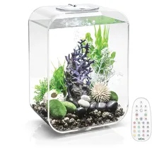 biOrb LIFE 15 15 l Aquarium transparent