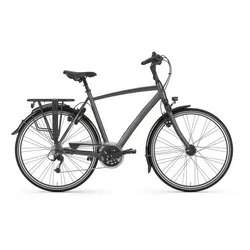 Gazelle Chamonix T30 Grau Modell 2023