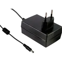 MeanWell Mean Well GSM25E12-P1J Netzteil & Spannungsumwandler 25 W