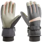 BTTO Skihandschuhe Fahrrad Handschuhe Skihandschuhe für Männer und Frauen im Winter Winterhandschuhe Ski Wasserdicht grau