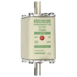 Mersen Sicherungseinsatz NH aM NH00AM69V100