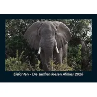 Vero Kalender Elefanten - Die sanften Riesen Afrikas 2026