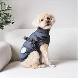 nordic paws Thor S Anthracite