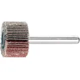 Pferd Fächerschleifer Ø20xH10mm K.120 10St.