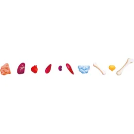 HaPe Puzzle "Mein Körper"