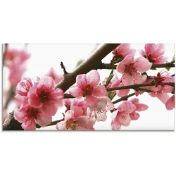 Artland Glasbild »Pfirsichblüten reflektieren im Wasser«, Blumen, (1 St.), in verschiedenen Größen Artland Farbe Bild(er): pink