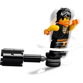 LEGO Ninjago Battle Set: Cole vs. Geisterkämpfer 71733