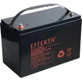 EFFEKTA BTL 12-100LX Blei-Vlies Akku AGM VRLA 12V 100Ah