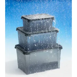 SmartStore ORTHEX SmartStore Dry 31