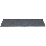 vidaXL Stufenmatte 60 x 25 cm Hellgrau