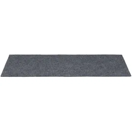 vidaXL Stufenmatte 60 x 25 cm Hellgrau