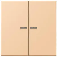 Jung Taster 2fach BT LC 17102 237