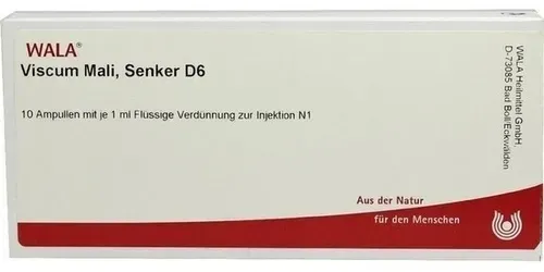 VISCUM MALI Senker D 6 Ampullen 10 ml