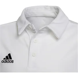 adidas Entrada 22 Polo Shirt, white