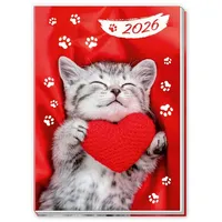 Trötsch Verlag Trötsch Taschenkalender A7 Katze 2026 Mini-Terminkalender